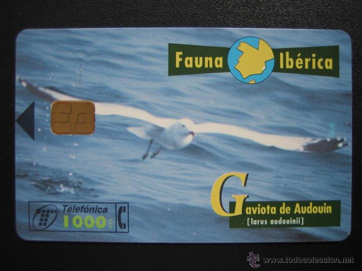 Tarjetas telef&oacute;nicas de colecci&oacute;n: Tarjeta telef&oacute;nica - Foto 1