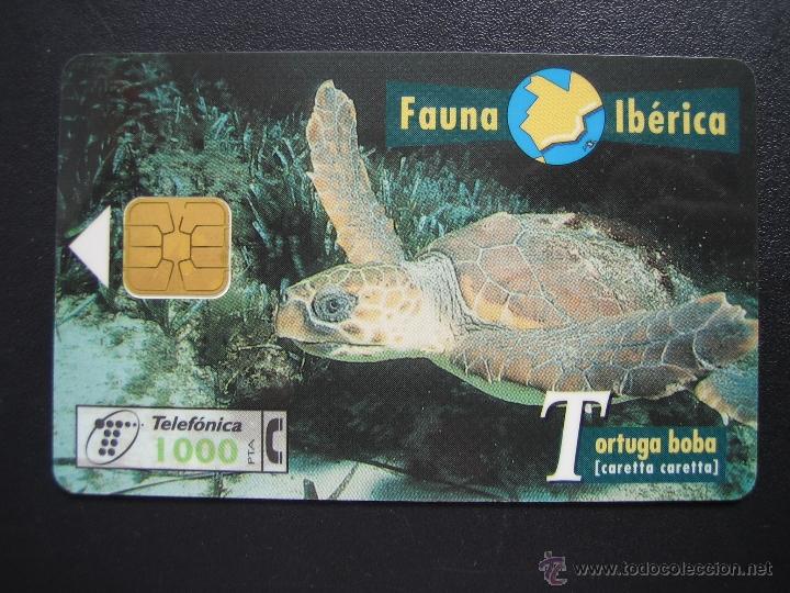 Tarjetas telef&oacute;nicas de colecci&oacute;n: Tarjeta telef&oacute;nica - Foto 1