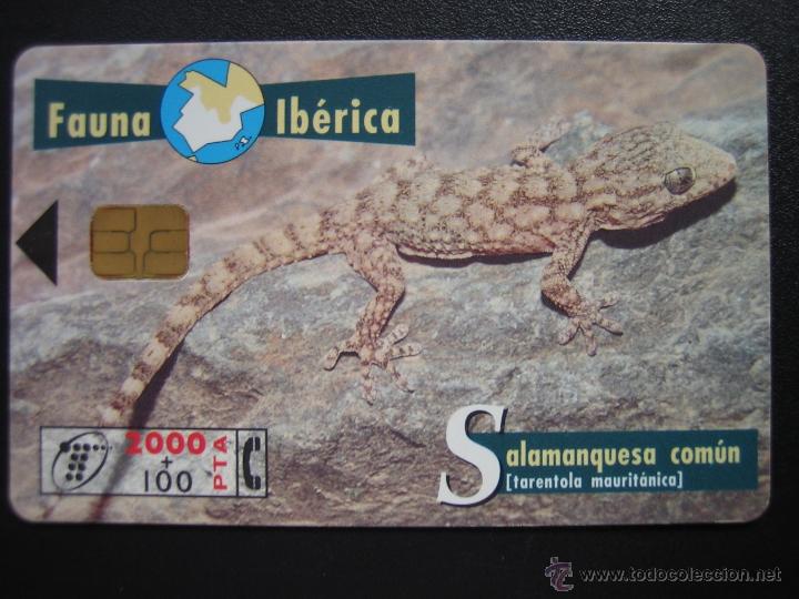 Tarjetas telef&oacute;nicas de colecci&oacute;n: Tarjeta telef&oacute;nica - Foto 1