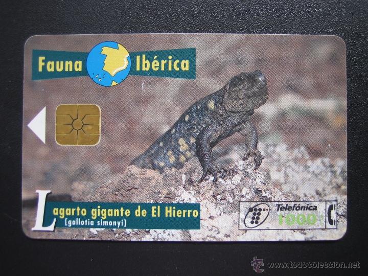 Tarjetas telef&oacute;nicas de colecci&oacute;n: Tarjeta telef&oacute;nica - Foto 1