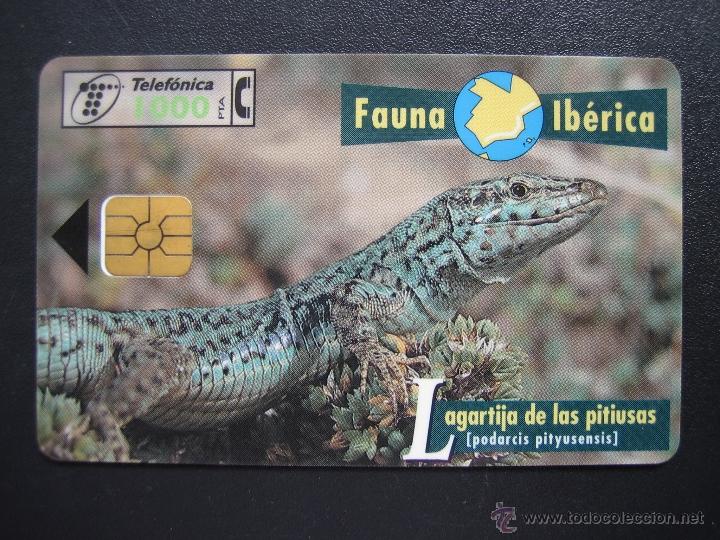 Tarjetas telef&oacute;nicas de colecci&oacute;n: Tarjeta telef&oacute;nica - Foto 1