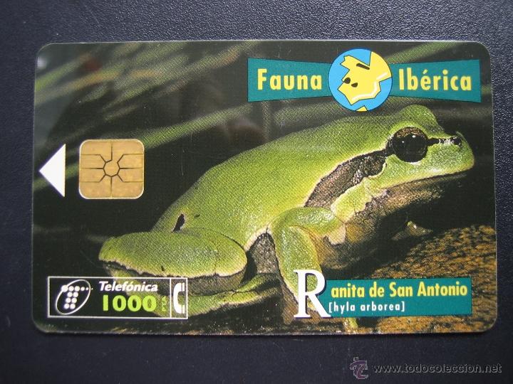 Tarjetas telef&oacute;nicas de colecci&oacute;n: Tarjeta telef&oacute;nica - Foto 1