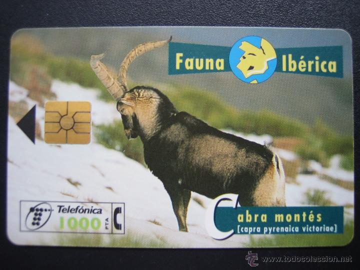 Tarjetas telef&oacute;nicas de colecci&oacute;n: Tarjeta telef&oacute;nica - Foto 1