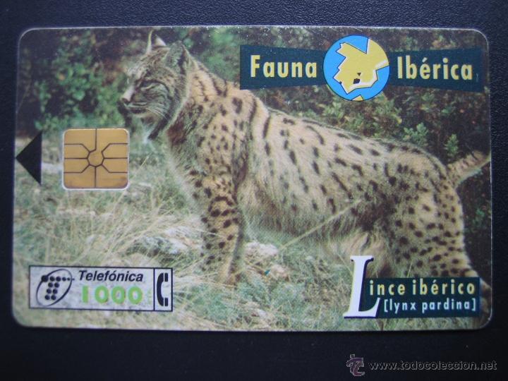 Tarjetas telef&oacute;nicas de colecci&oacute;n: Tarjeta telef&oacute;nica - Foto 1