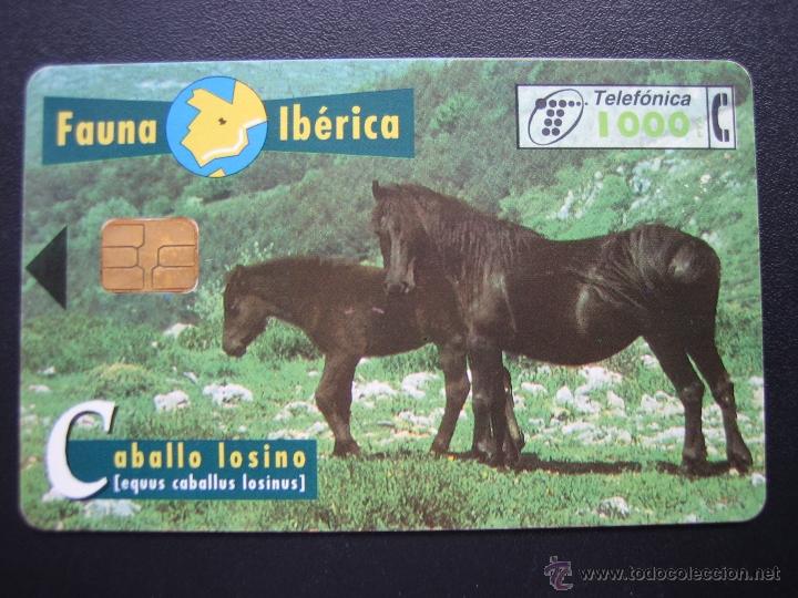 Tarjetas telef&oacute;nicas de colecci&oacute;n: Tarjeta telef&oacute;nica - Foto 1