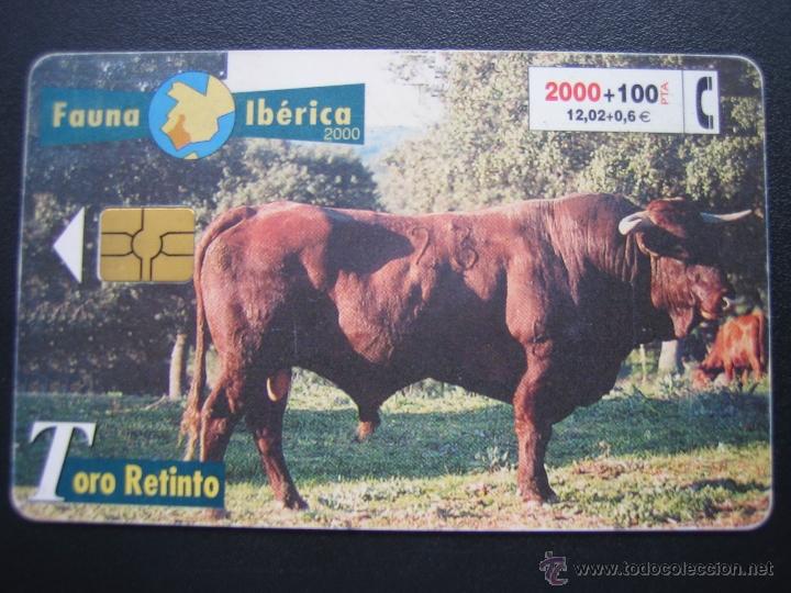 Tarjetas telef&oacute;nicas de colecci&oacute;n: Tarjeta telef&oacute;nica - Foto 1