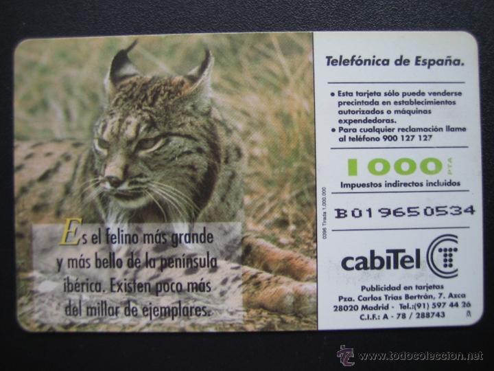 Tarjetas telef&oacute;nicas de colecci&oacute;n: Tarjeta telef&oacute;nica - Foto 2