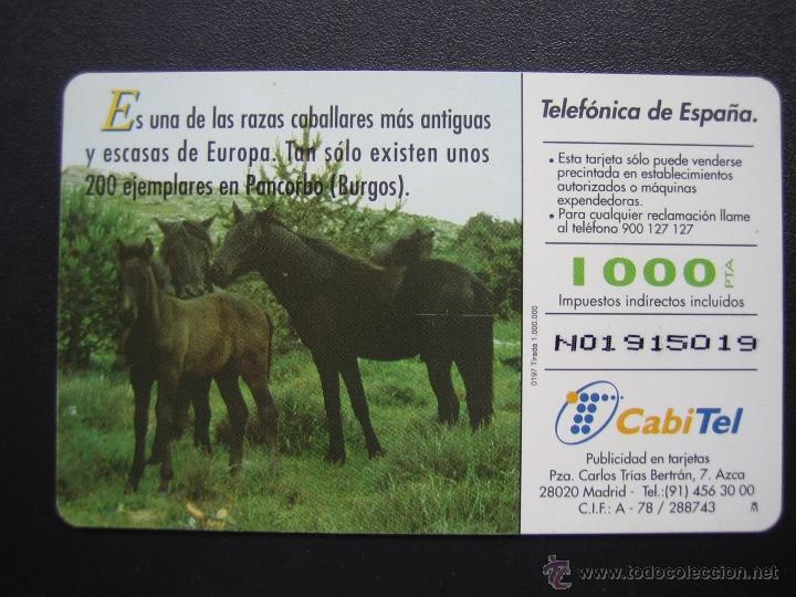 Tarjetas telef&oacute;nicas de colecci&oacute;n: Tarjeta telef&oacute;nica - Foto 2