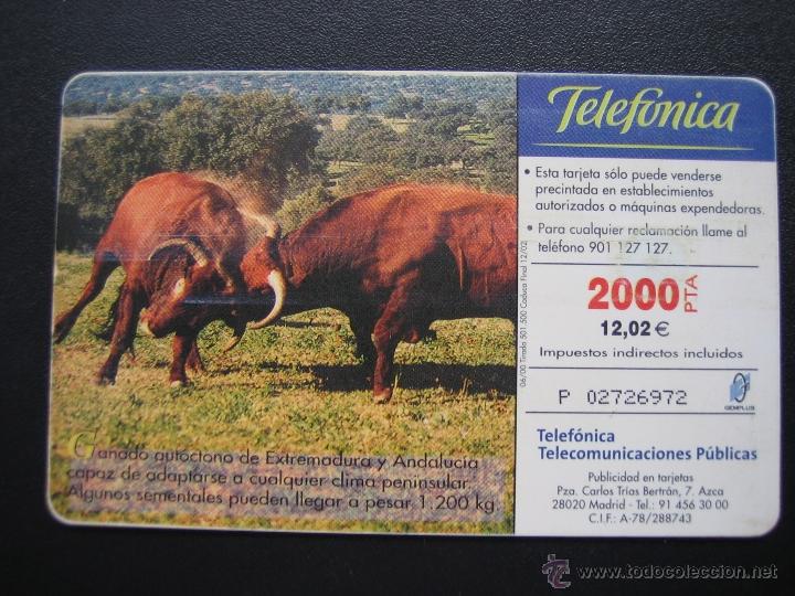 Tarjetas telef&oacute;nicas de colecci&oacute;n: Tarjeta telef&oacute;nica - Foto 2