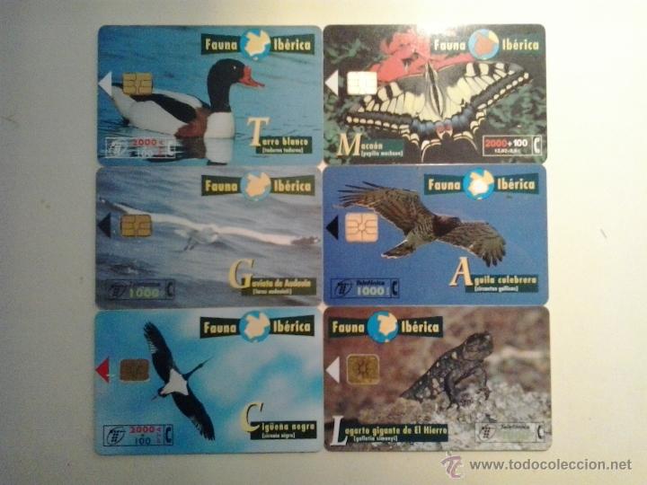 Cartes T&eacute;l&eacute;phoniques de collection: TARJETA TELEFONICA - FAUNA IBERICA - LOTE 6 UNIDADES