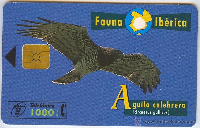 Collection telephone cards: TARJETA TELEFONICA - FAUNA IBERICA - AGUILA CULEBRERA