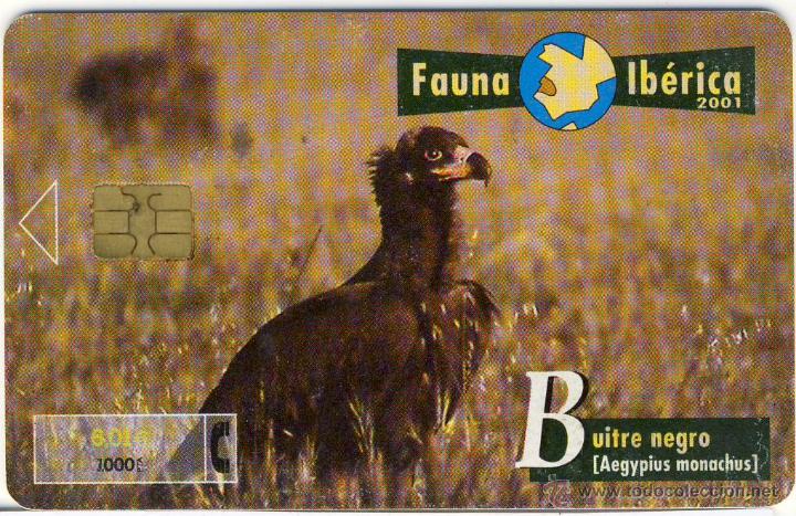 Collection telephone cards: TARJETA DE TEL&Eacute;FONO.- FAUNA IB&Eacute;RICA 2001: BUITRE NEGRO