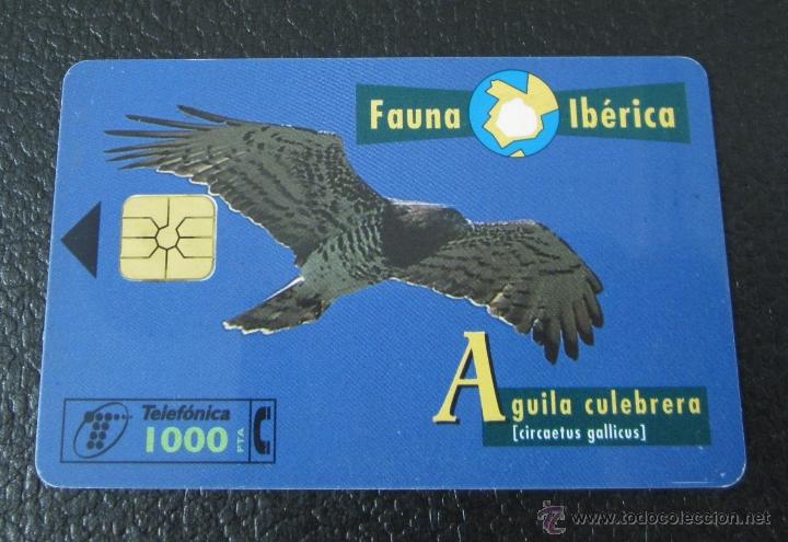 tarjeta telefónica serie fauna ibérica aguila c - Compra venta en  todocoleccion