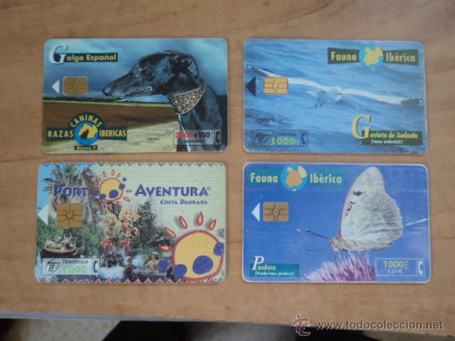Carte telefoniche di collezione: 4 tarjetas telef&oacute;nicas: Por Aventura, galgo espa&ntilde;ol, gaviota Audouin y pandora. Usadas.