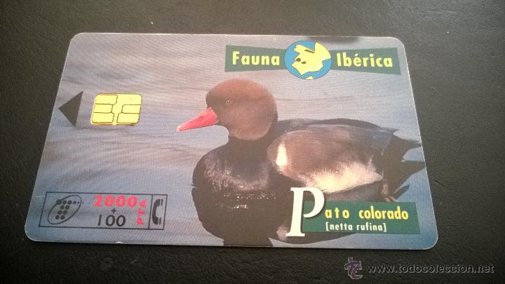 Cartes T&eacute;l&eacute;phoniques de collection: TARJETA TELEFONICA FAUNA IBERICA