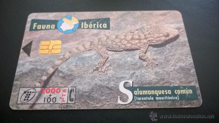 Cartes T&eacute;l&eacute;phoniques de collection: TARJETA TELEFONICA FAUNA IBERICA