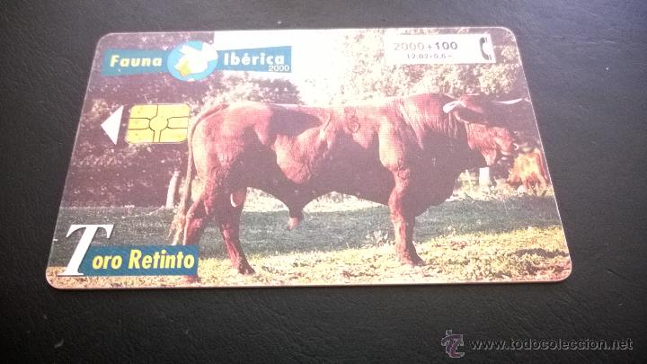 Cartes T&eacute;l&eacute;phoniques de collection: TARJETA TELEFONICA FAUNA IBERICA