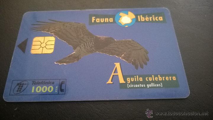 Cartes T&eacute;l&eacute;phoniques de collection: TARJETA TELEFONICA FAUNA IBERICA