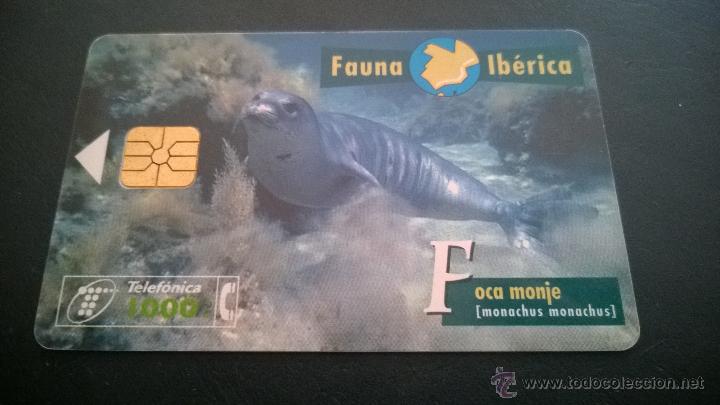 Cartes T&eacute;l&eacute;phoniques de collection: TARJETA TELEFONICA FAUNA IBERICA