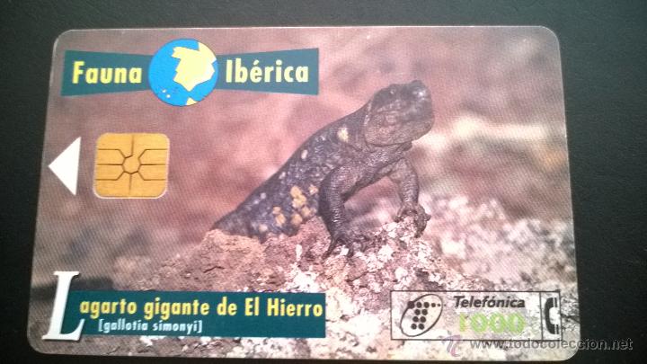 Carte telefoniche di collezione: TARJETA TELEFONICA FAUNA IBERICA