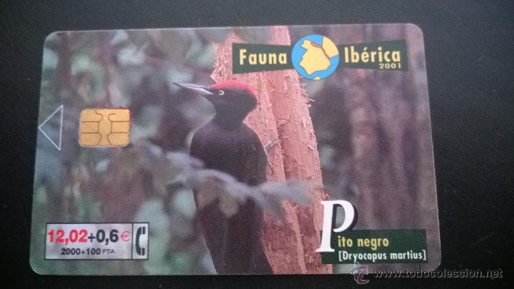 Carte telefoniche di collezione: TARJETA TELEFONICA FAUNA IBERICA