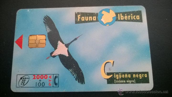 Carte telefoniche di collezione: TARJETA TELEFONICA FAUNA IBERICA