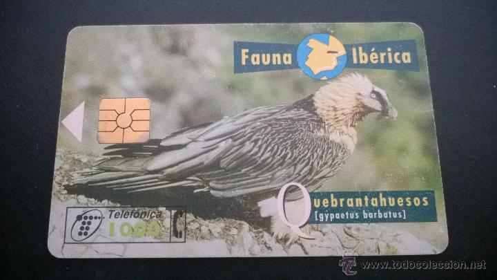 Carte telefoniche di collezione: TARJETA TELEFONICA FAUNA IBERICA