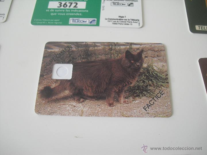 Sammlung von Telefonkarten: Tarjeta telef&oacute;nica. Tel&eacute;fono. Specimen Factice