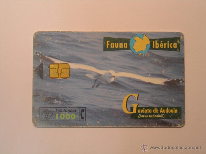 Sammlung von Telefonkarten: tarjeta telefonic (fauna iberica)