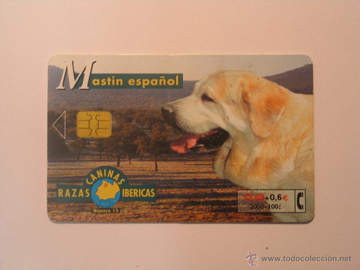 Sammlung von Telefonkarten: tarjeta telefonica (mastin espa&ntilde;ol )
