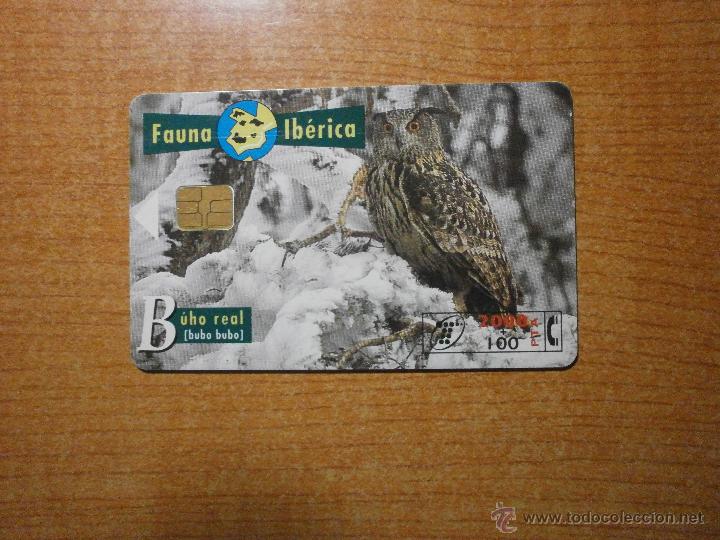 Sammlung von Telefonkarten: TARJETA TELEFONICA FAUNA IBERICA BUHO REAL 2000 .PTA