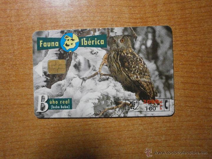 Sammlung von Telefonkarten: TARJETA TELEFONICA FAUNA IBERICA BUHO REAL 2000 .PTA