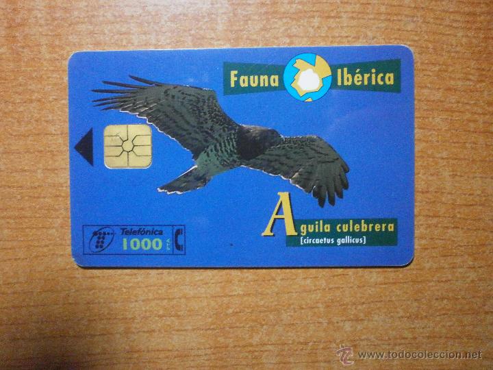 Sammlung von Telefonkarten: TARJETA TELEFONICA FAUNA IBERICA AGUILA CULEBRERA 1000 .PTA
