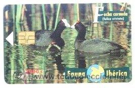 Carte telefoniche di collezione: TARJETA ESPA&Ntilde;OLA TELEFONICA. FAUNA IBERICA FOCHA CORNUDA. TELEFONO. ESPA&Ntilde;A.