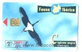 Sammlung von Telefonkarten: TARJETA ESPA&Ntilde;OLA TELEFONICA. FAUNA IBERICA CIG&Uuml;E&Ntilde;A NEGRA. TELEFONO. ESPA&Ntilde;A.