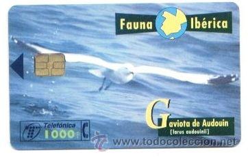 Carte telefoniche di collezione: TARJETA ESPA&Ntilde;OLA TELEFONICA. FAUNA IBERICA GAVIOTA DE AUDOVIN. TELEFONO. ESPA&Ntilde;A.