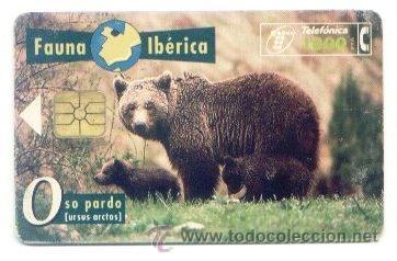 Carte telefoniche di collezione: TARJETA ESPA&Ntilde;OLA TELEFONICA. FAUNA IBERICA OSO PARDO. TELEFONO. ESPA&Ntilde;A.