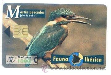 Carte telefoniche di collezione: TARJETA ESPA&Ntilde;OLA TELEFONICA. FAUNA IBERICA MARTIN PESCADOR. TELEFONO. ESPA&Ntilde;A.