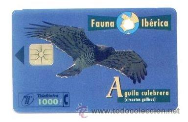Carte telefoniche di collezione: TARJETA ESPA&Ntilde;OLA TELEFONICA. FAUNA IBERICA AGUILA CULEBRERA. TELEFONO. ESPA&Ntilde;A.
