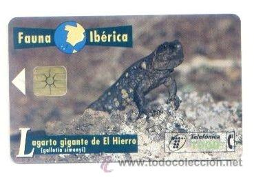 Carte telefoniche di collezione: TARJETA ESPA&Ntilde;OLA TELEFONICA. FAUNA IBERICA LAGARTO GIGANTE DE EL HIERRO. TELEFONO. ESPA&Ntilde;A.