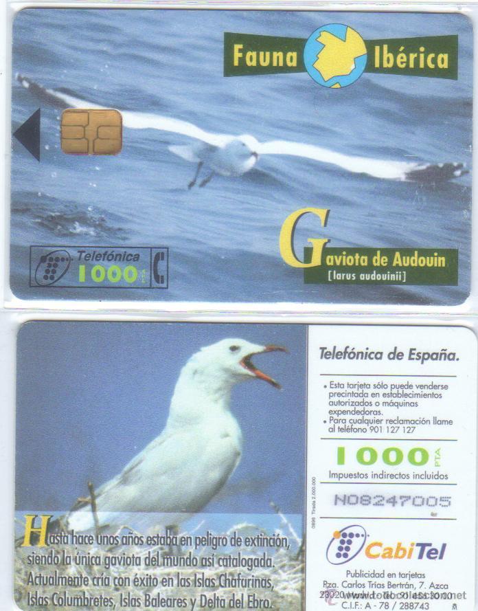 Collection telephone cards: TARJETA TELEFONICA FAUNA IBERICA GAVIOTA TT