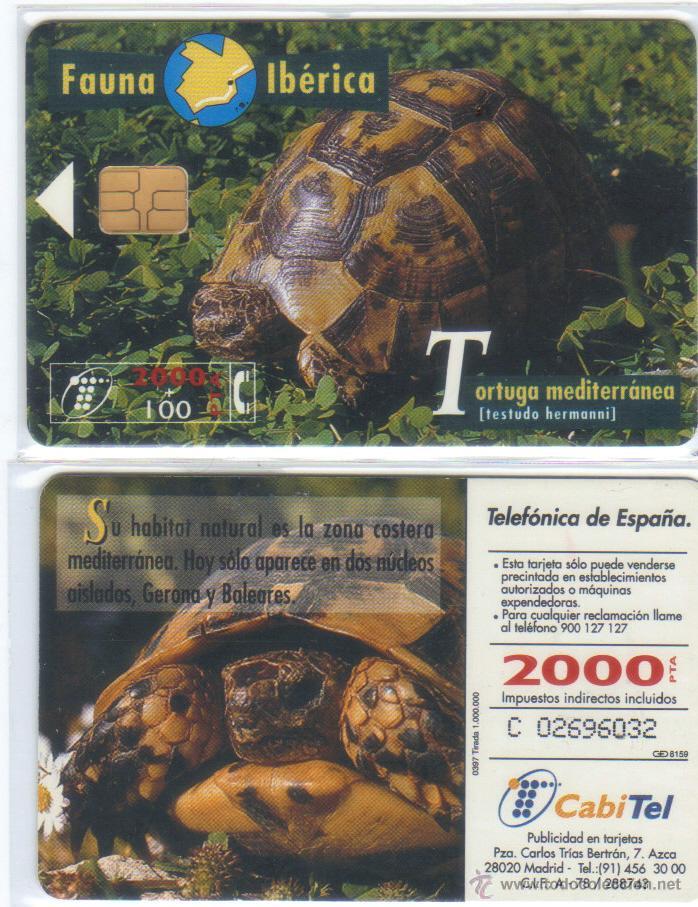 Carte telefoniche di collezione: TARJETA TELEFONICA FAUNA IBERICA TORTUGA MEDITERRANEA TT