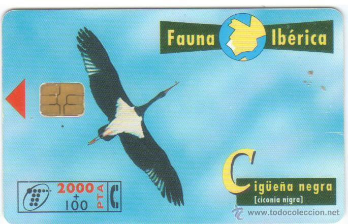Carte telefoniche di collezione: TARJETA TELEFONICA FAUNA IBERICA 8/ 1998 CIGUE&Ntilde;A NEGRA USADA VER DETALLE