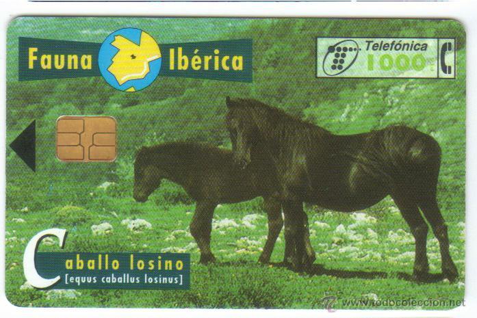 Carte telefoniche di collezione: TARJETA TELEFONICA FAUNA IBERICA 1/ 1997 CABALLO LOSINO VER DETALLE