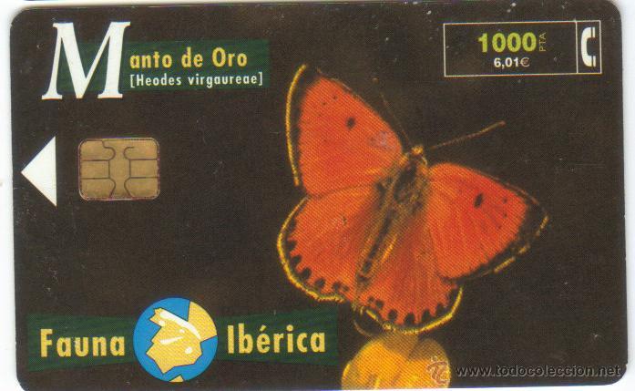 Carte telefoniche di collezione: FAUNA IBERICA MARIPOSA MANTO DE ORO 8/ 1999 VER DETALLE TT