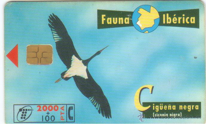 Carte telefoniche di collezione: TARJETA TELEFONICA FAUNA CIGUE&Ntilde;A NEGRA 0898 1998 TT