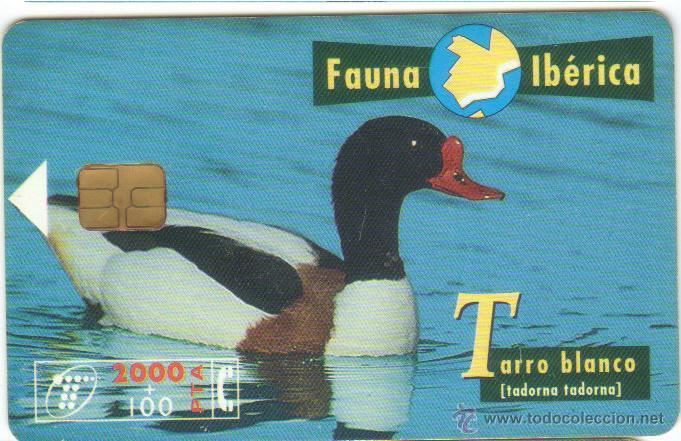 Collection telephone cards: TARJETA TELEFONICA TARRO BLANCO FAUNA AVES 1998 TT