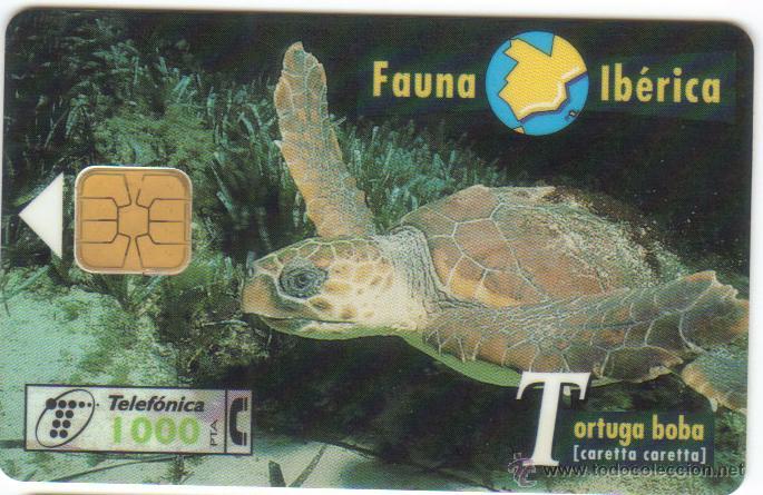 Cartes T&eacute;l&eacute;phoniques de collection: TARJETA TELEFONICA FAUNA TORTUGA BOBA 0397 1997 TT