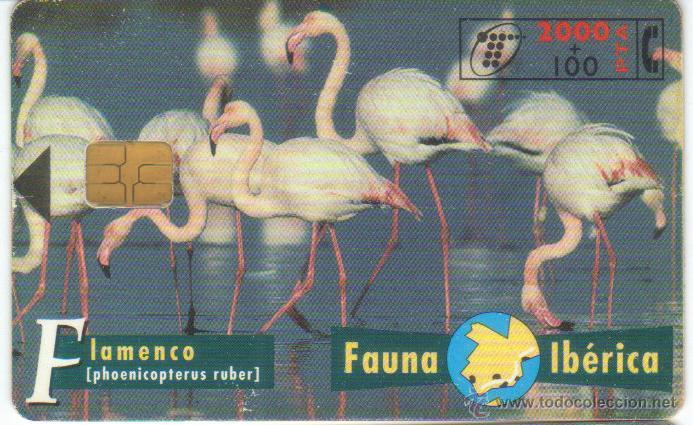 Cartes T&eacute;l&eacute;phoniques de collection: TARJETA TELEFONICA FAUNA FLAMENCO TT 2000+100 PESETAS 1997