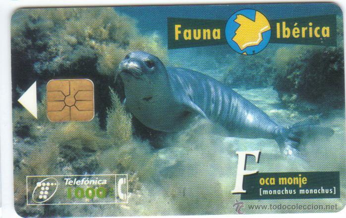 Carte telefoniche di collezione: ESPA&Ntilde;A TT TARJETA TELEFONICA FAUNA IBERICA FOCA MONJE